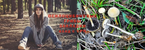 кристаллы Инта