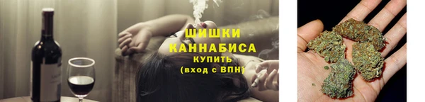 сатива Хадыженск