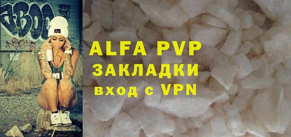 стаф Инсар
