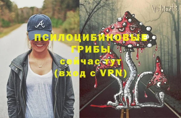 стаф Инсар