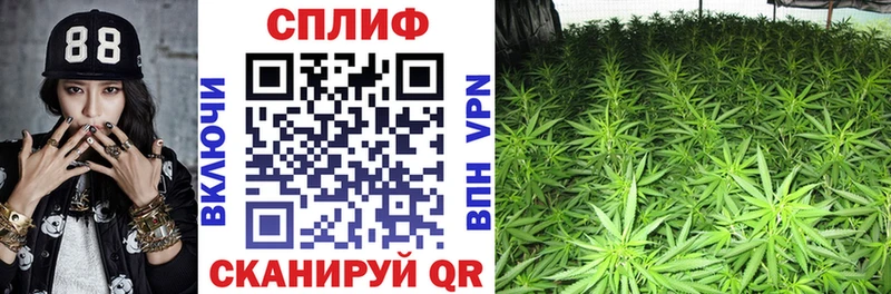 Канабис MAZAR  Невель 